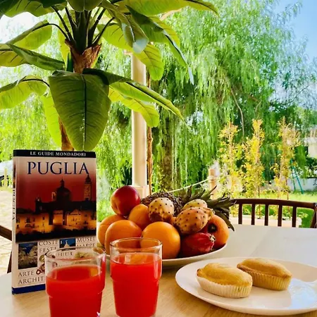 Hébergement de vacances Trilocale A Alimini *